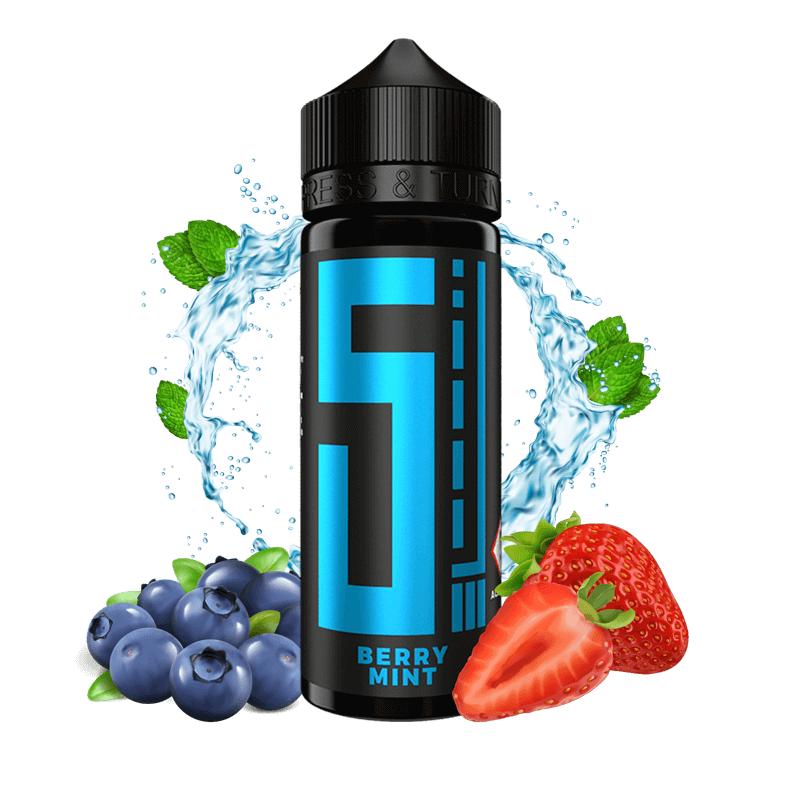 5EL Aroma Berry Mint - 10 ml Longfill