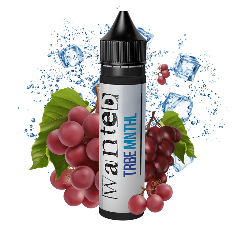 Wanted Aroma - Trbe Mnthl - 10 ml Longfill