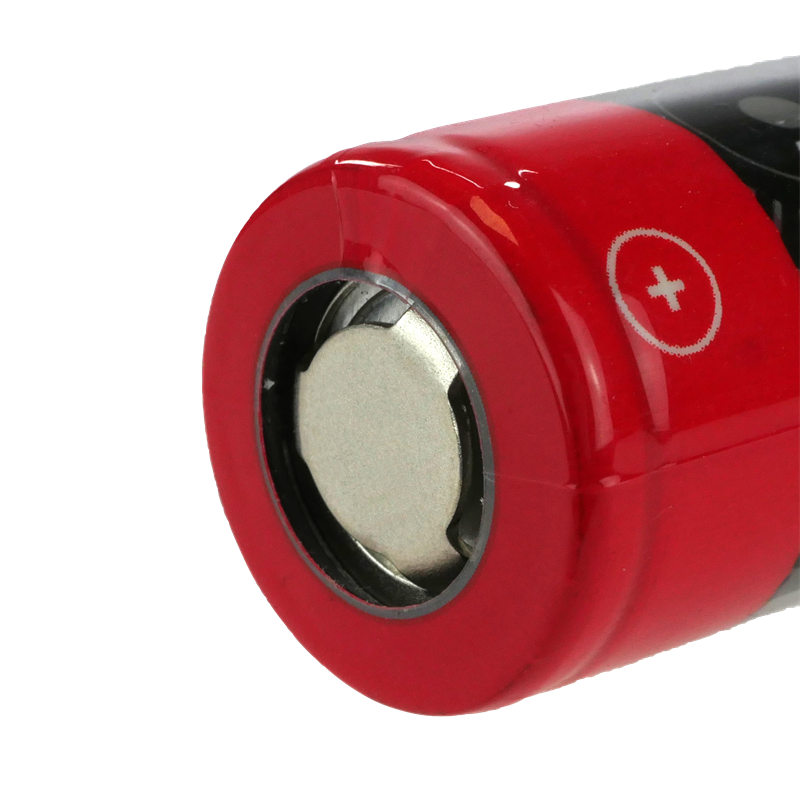 Riccardo Proteus longlife 18650 Akku - 3000 mAh - 2er Pack  