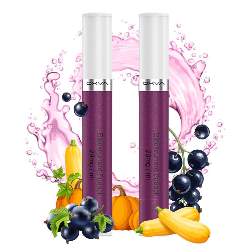 OXVA SlimStick Einweg Pod - Blackcurrant Splash -2er Pack