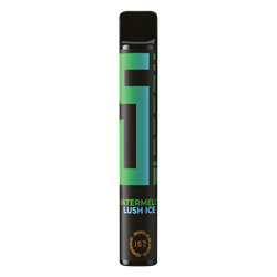 5EL Bar - Watermelon Lush Ice - Einweg E-Zigarette