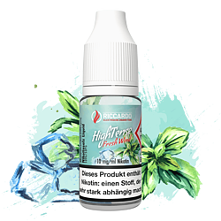 Riccardo HighTense - Fresh Wind - 10 ml Nikotinsalz Liquid