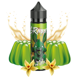 6Rabbits Aroma - Waldmeister - 10 ml Longfill