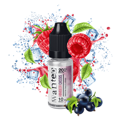 Wanted - Himbeer Cassis - 10 ml Nikotinsalz Liquid