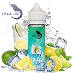 Hayvan Juice Aroma - Ga-Zoz Cool - 10 ml - DIY