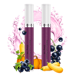 OXVA SlimStick Einweg Pod - Blackcurrant Splash -2er Pack