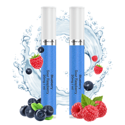 OXVA SlimStick Einweg Pod - Blueberry Sour Raspberry - 2er Pack