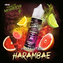 E-Liquid TWELVE MONKEYS - Harambae - 50 ml