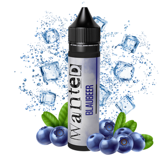 Wanted Aroma - Blaubeer - 10 ml Longfill