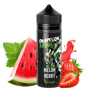 Dampflion Intense Aroma - Melonberry - 10 ml Longfill