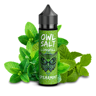 OWL Salt Aroma - Spearmint - 10 ml Longfill