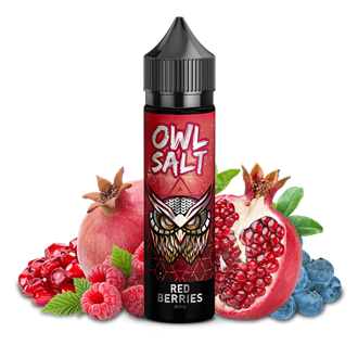 OWL Salt Aroma - Red Berries - 10 ml Longfill