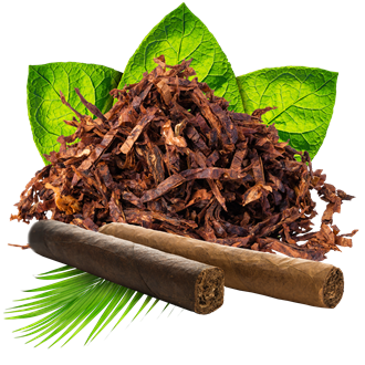 New Firecastle E-Liquid Cigar - 10 ml
