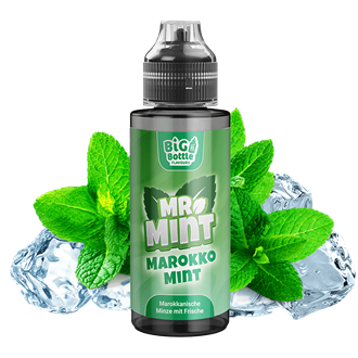 Big Bottle Aroma - Mr. Mint - Marokko Mint - 10 ml Longfill