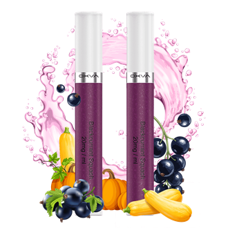 OXVA SlimStick Einweg Pod - Blackcurrant Splash -2er Pack