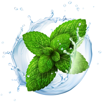 Riccardo E-Liquid Mint - 10 ml